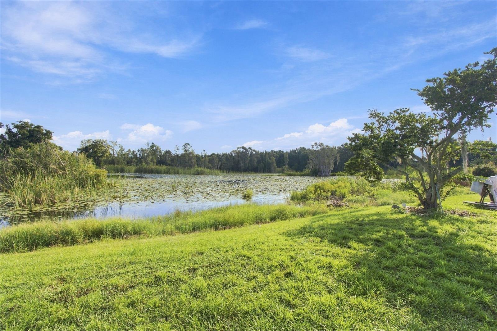 6210 LAND O LAKES BLVD — photo 9
