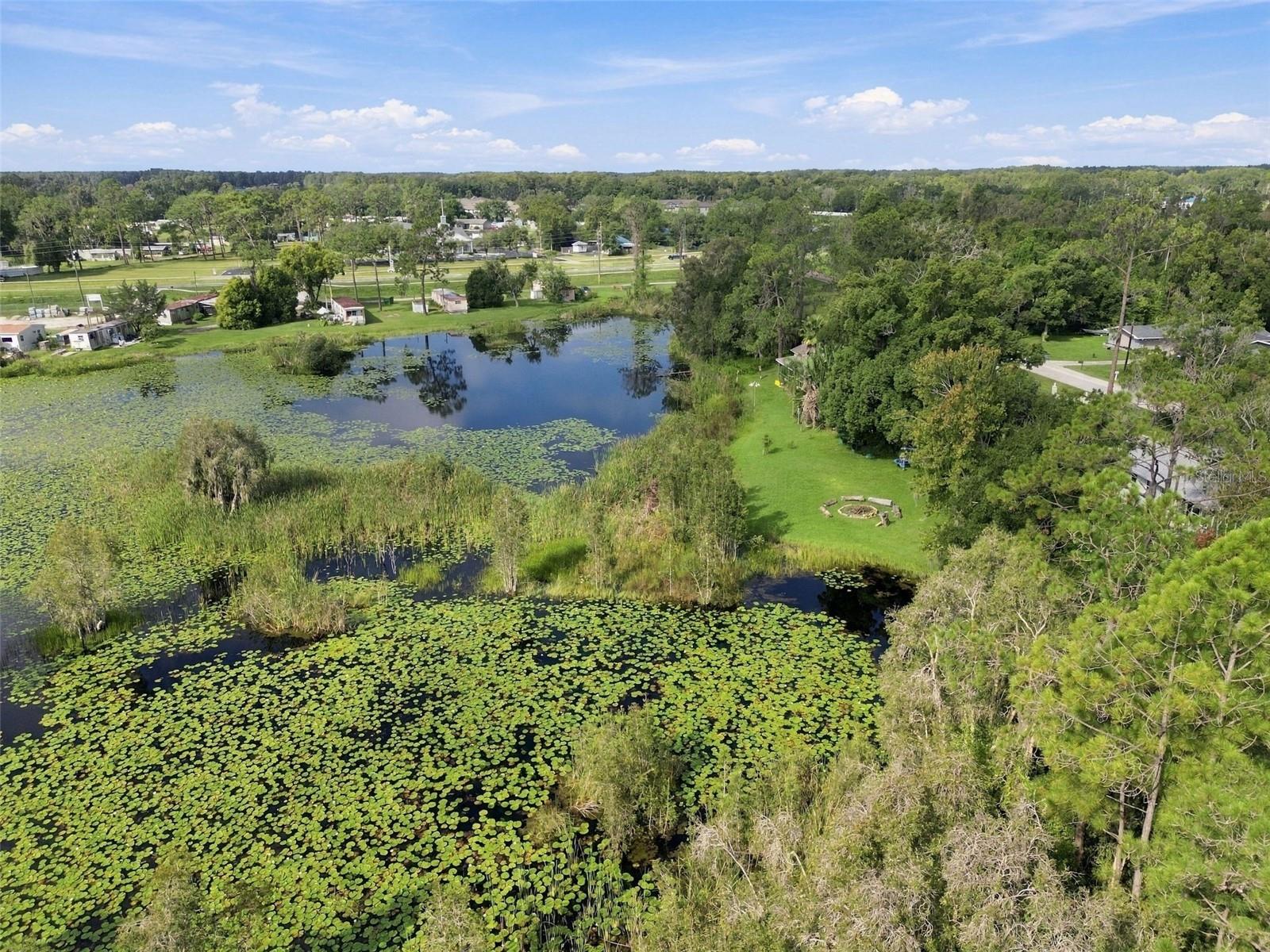 6210 LAND O LAKES BLVD — photo 24