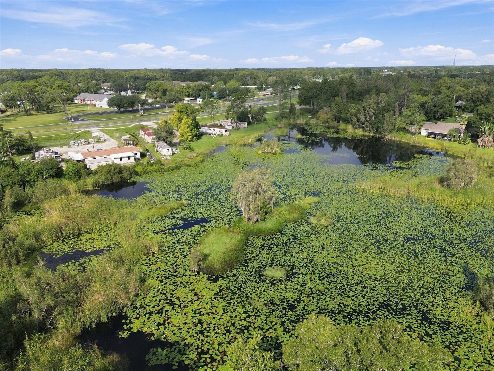 6210 LAND O LAKES BLVD — photo 27