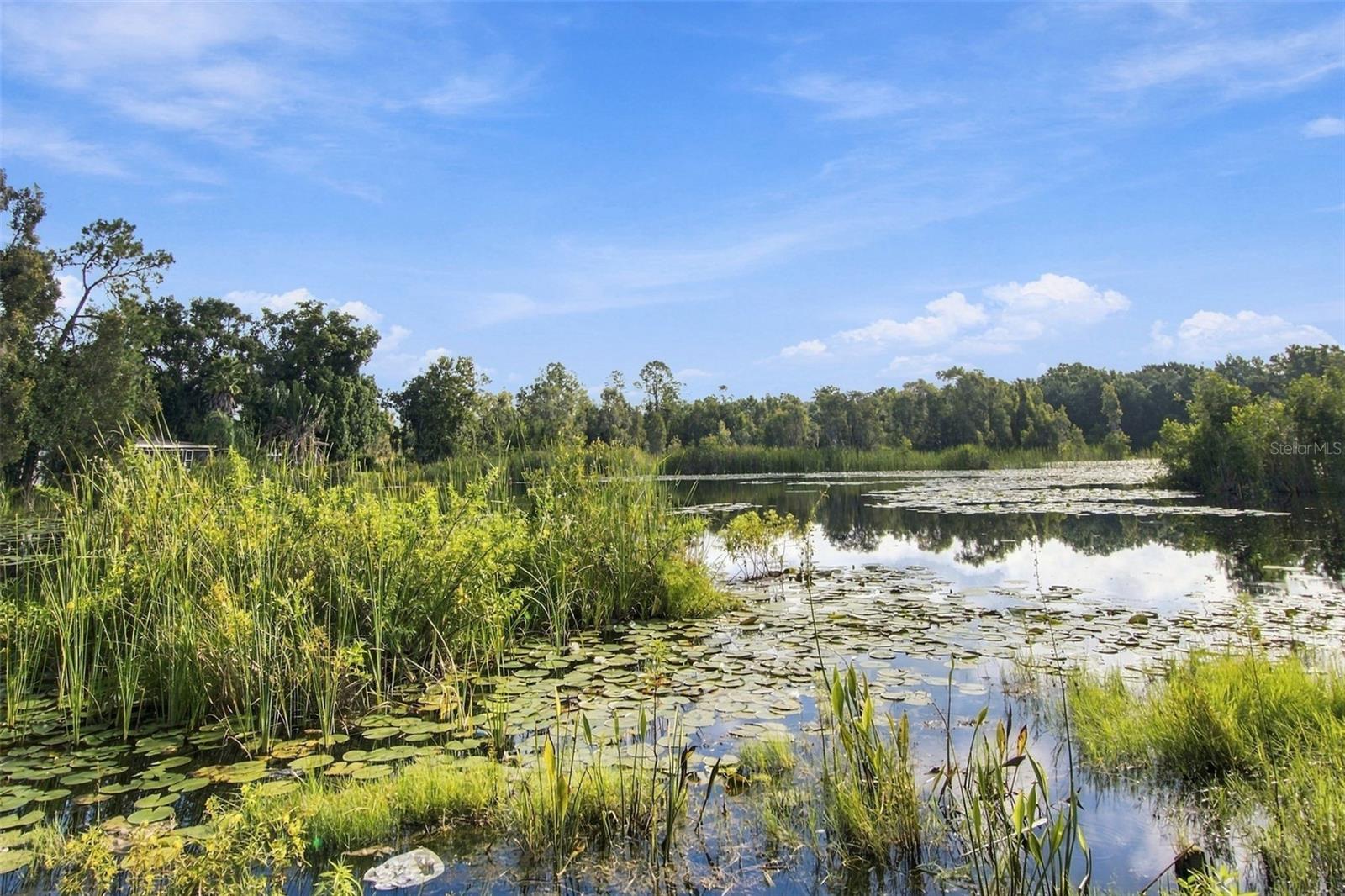 6210 LAND O LAKES BLVD — photo 10