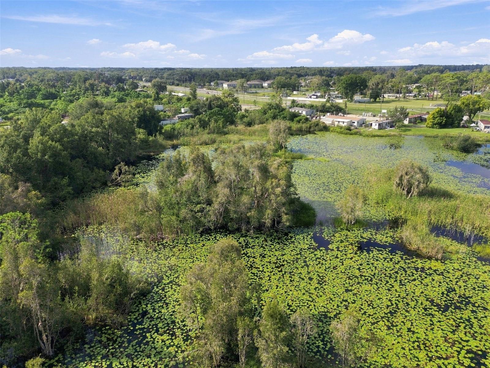 6210 LAND O LAKES BLVD — photo 25