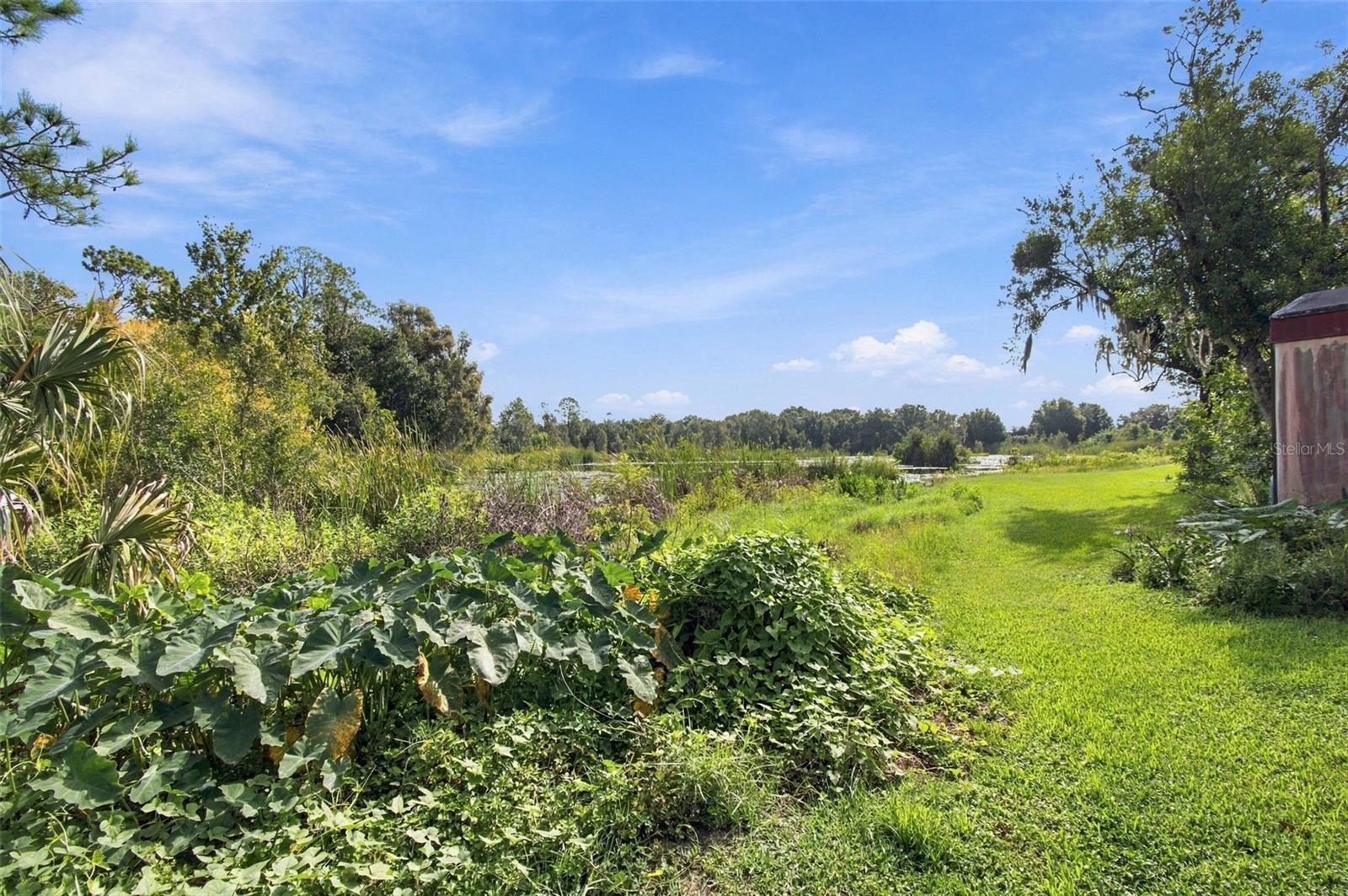 6210 LAND O LAKES BLVD — photo 12