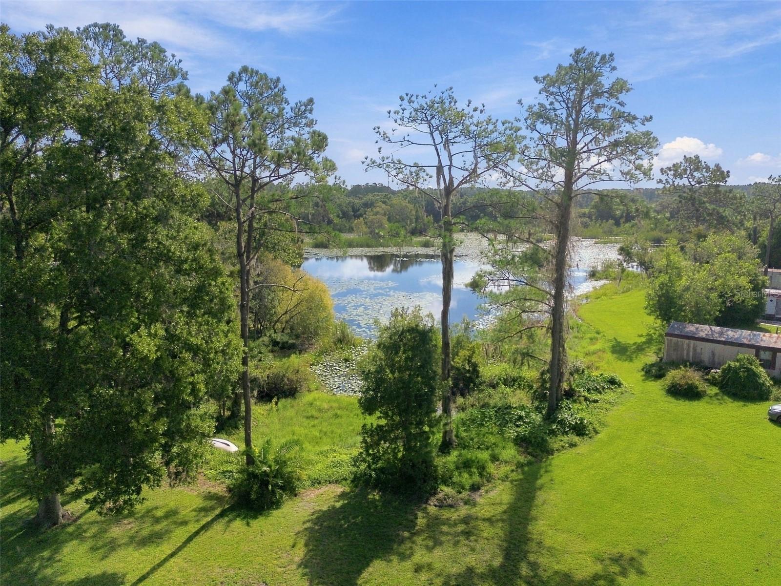 6210 LAND O LAKES BLVD — photo 6