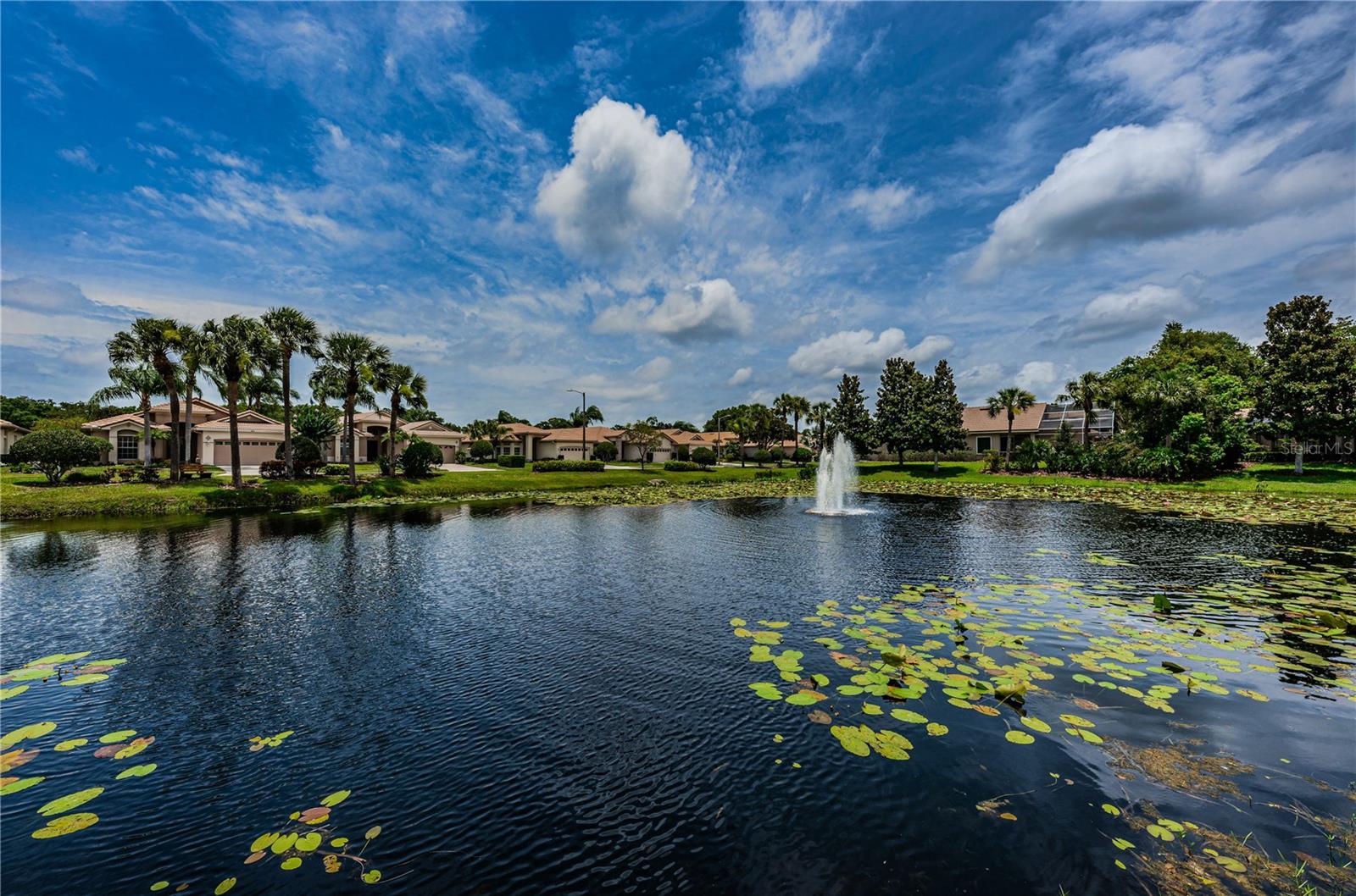 4008 SILK OAK LN — photo 58