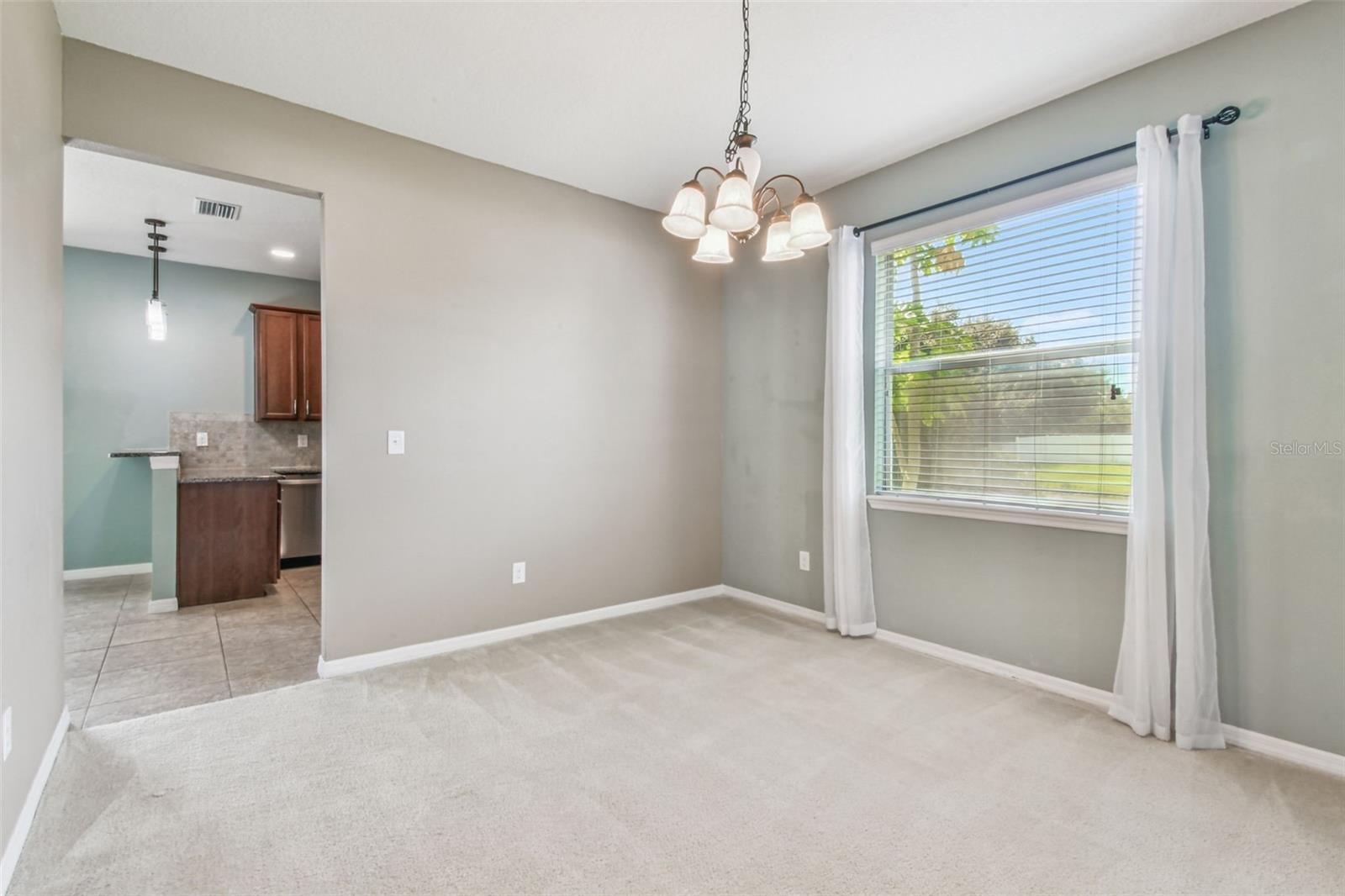 12320 FAIRLAWN DR — photo 15