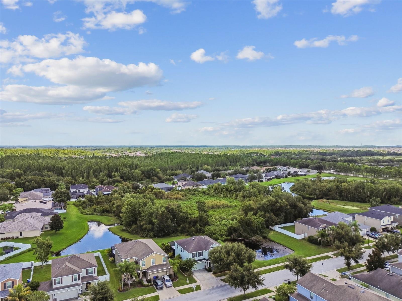 12320 FAIRLAWN DR — photo 65