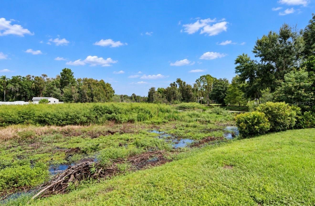717 W DEER LAKE DR — photo 34