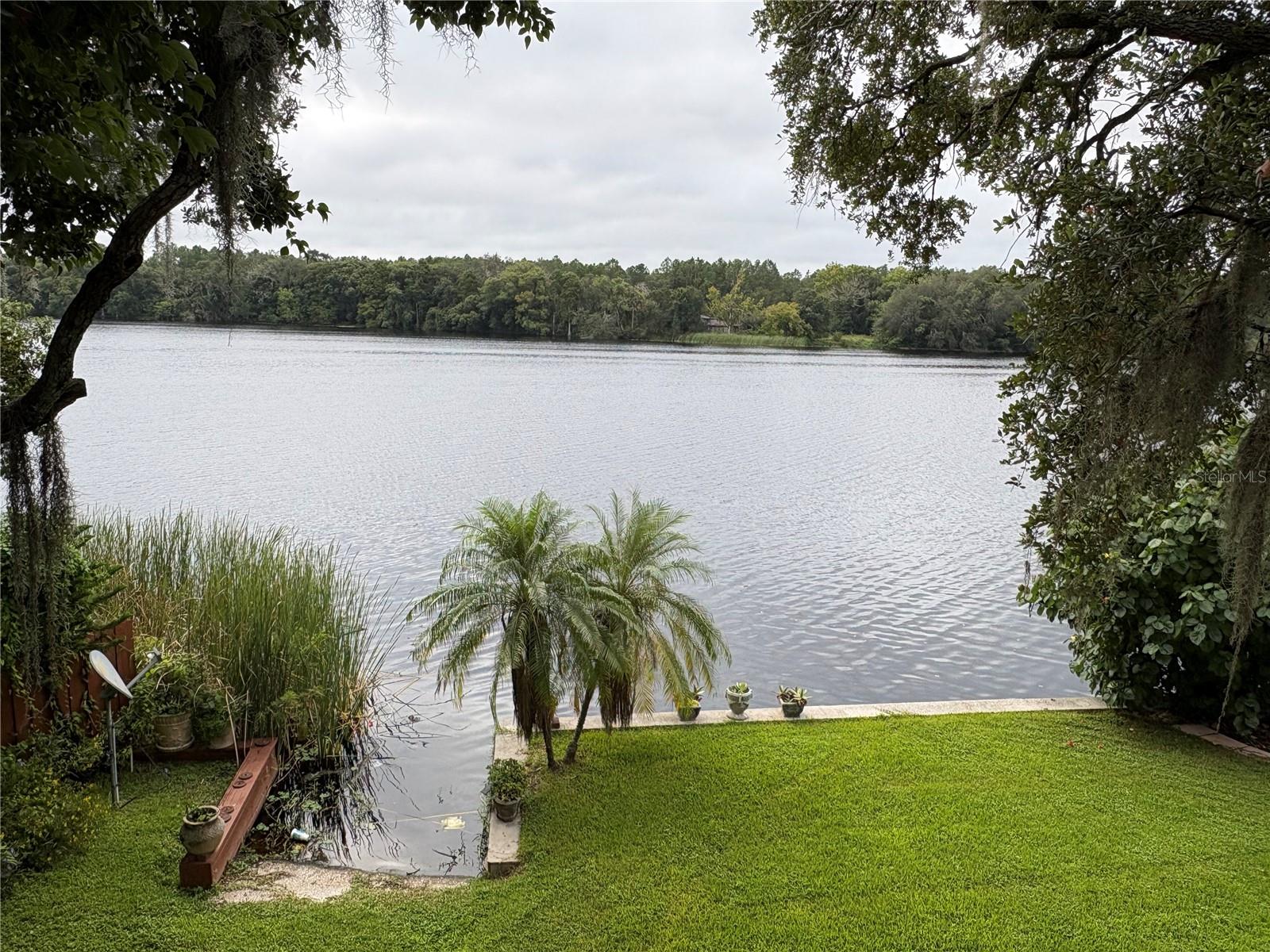 4223 E RIVERHILLS DR — photo 3