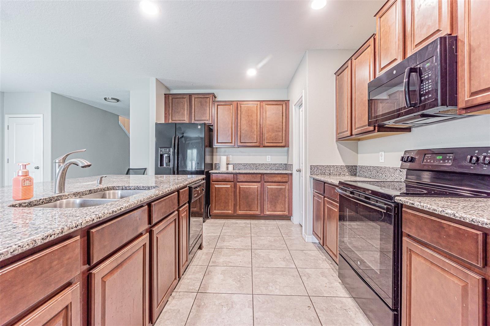 17009 PEACEFUL VALLEY DR — photo 9