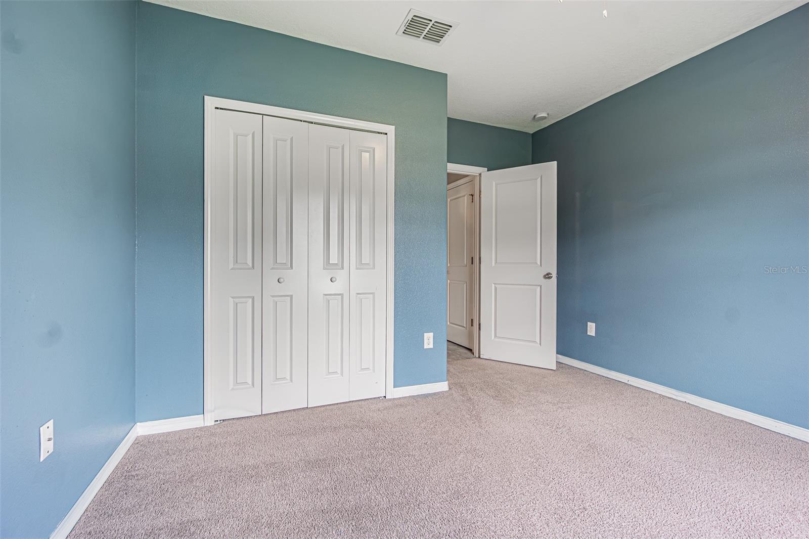 17009 PEACEFUL VALLEY DR — photo 16
