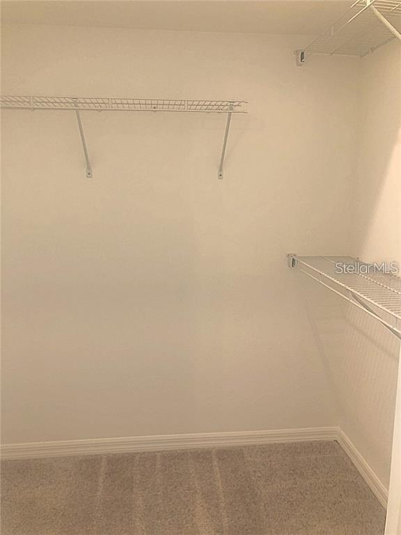 13403 NEWPORT SHORES DR — photo 30
