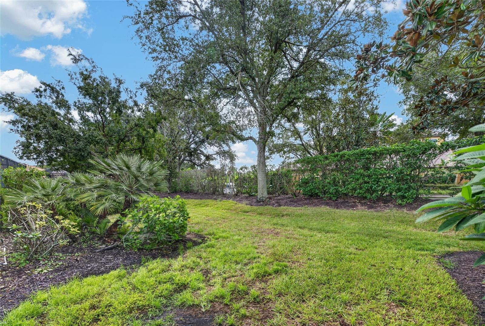 144 SILVER FALLS DR — photo 58