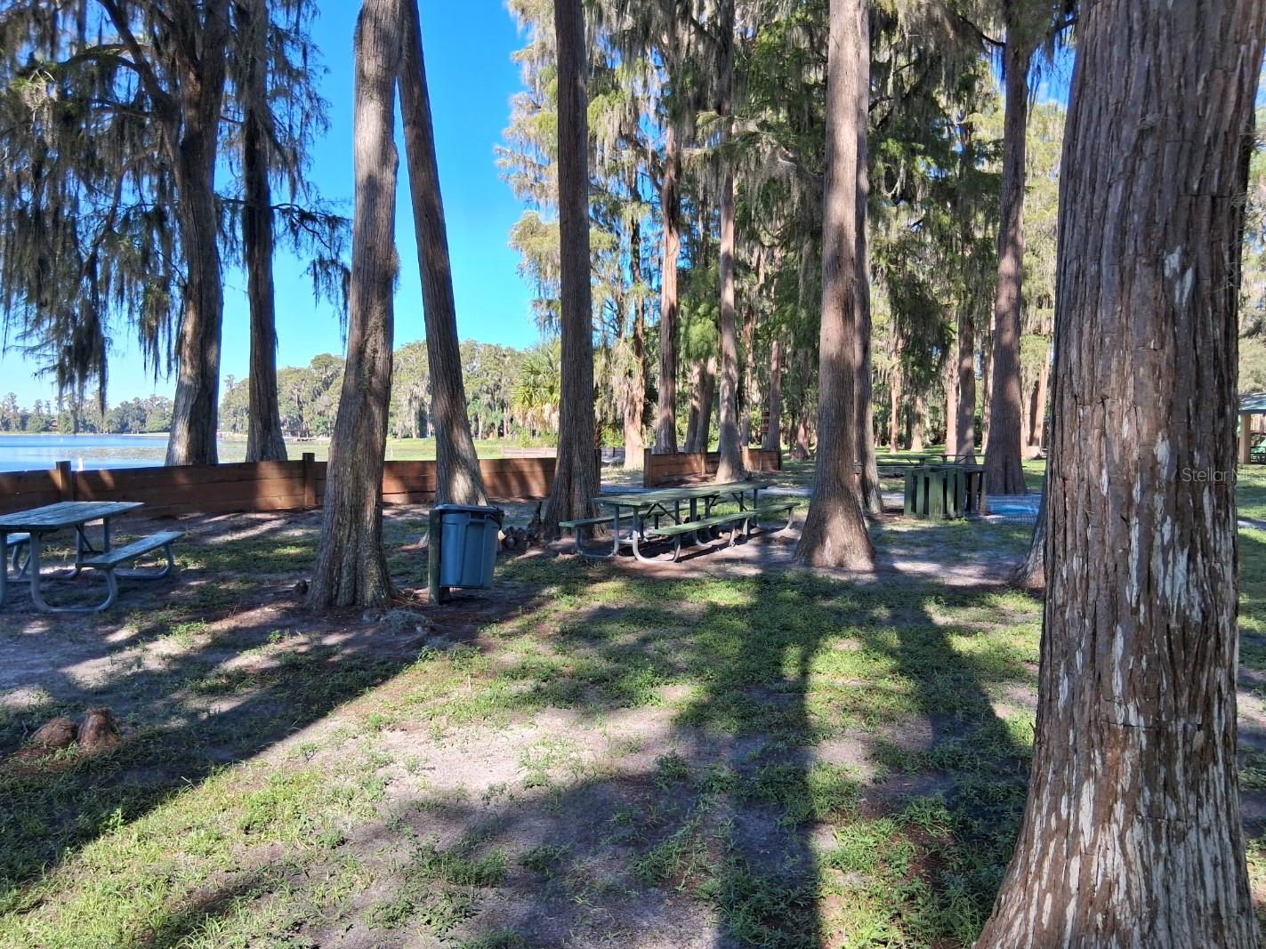 10052 LAKE DR — photo 28