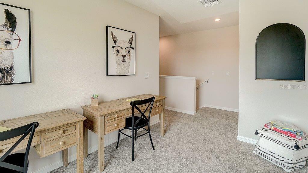 31217 PAPER BIRCH ST — photo 10