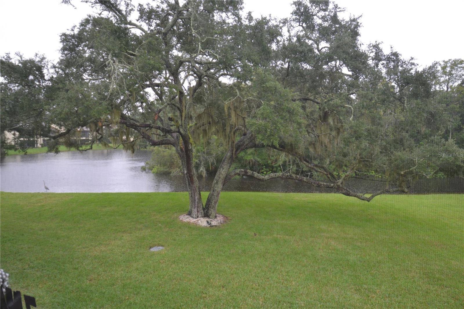 278 CYPRESS LN — photo 20