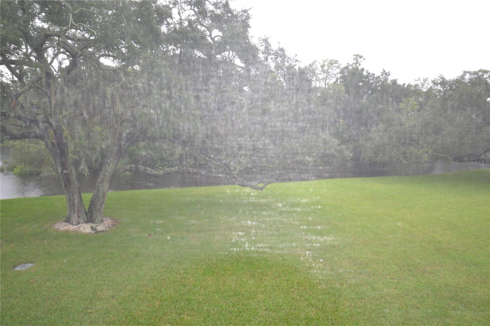 278 CYPRESS LN — photo 19