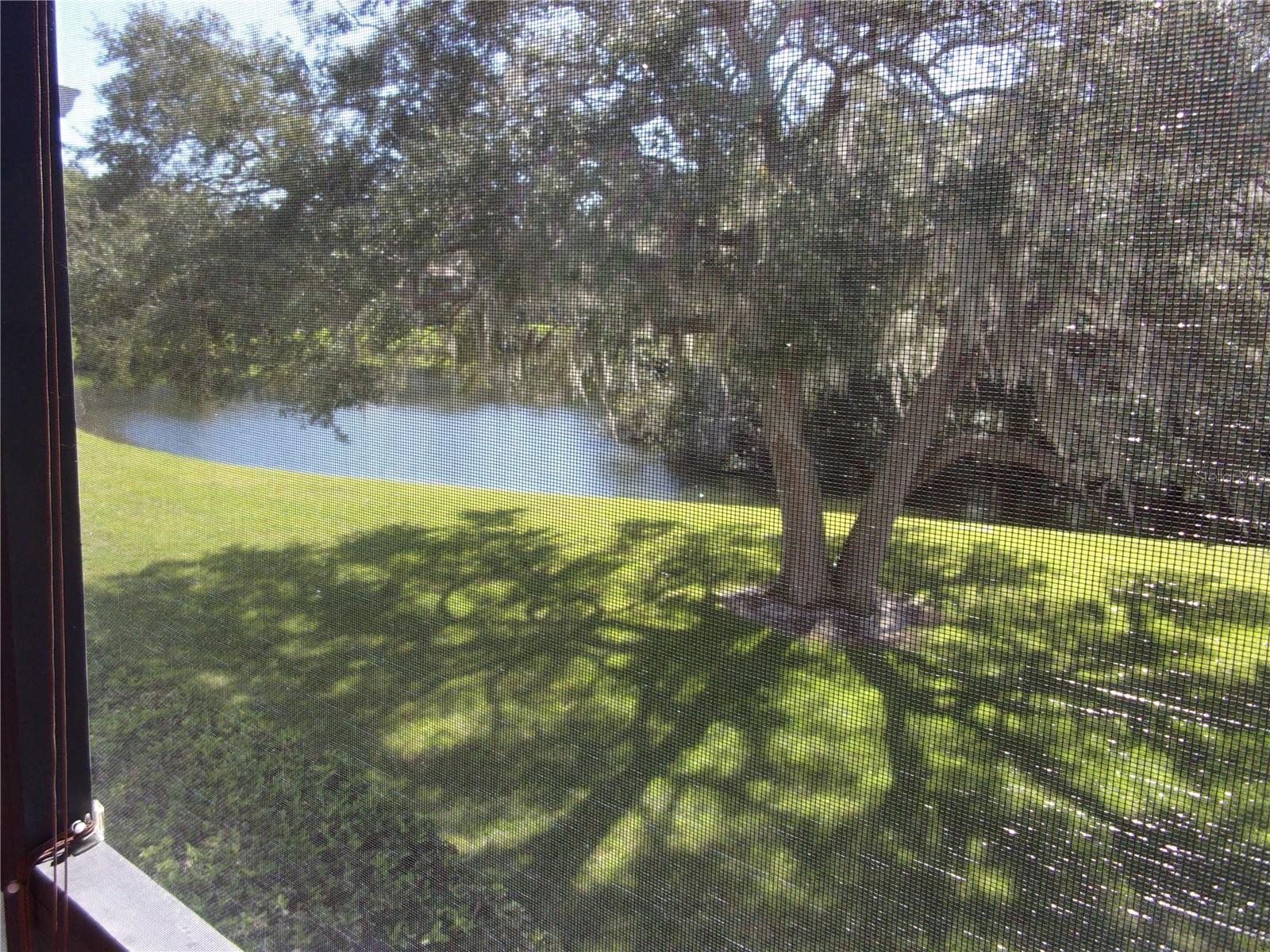 278 CYPRESS LN — photo 5