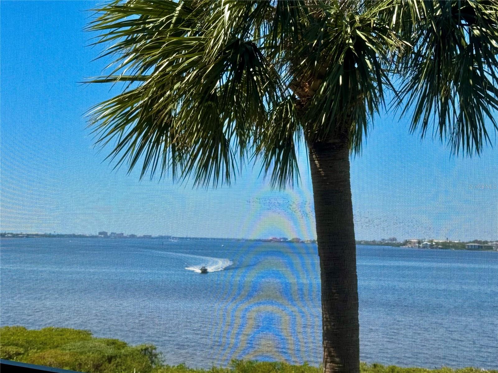 1020 TIDEWATER SHORES LOOP #304 — photo 20