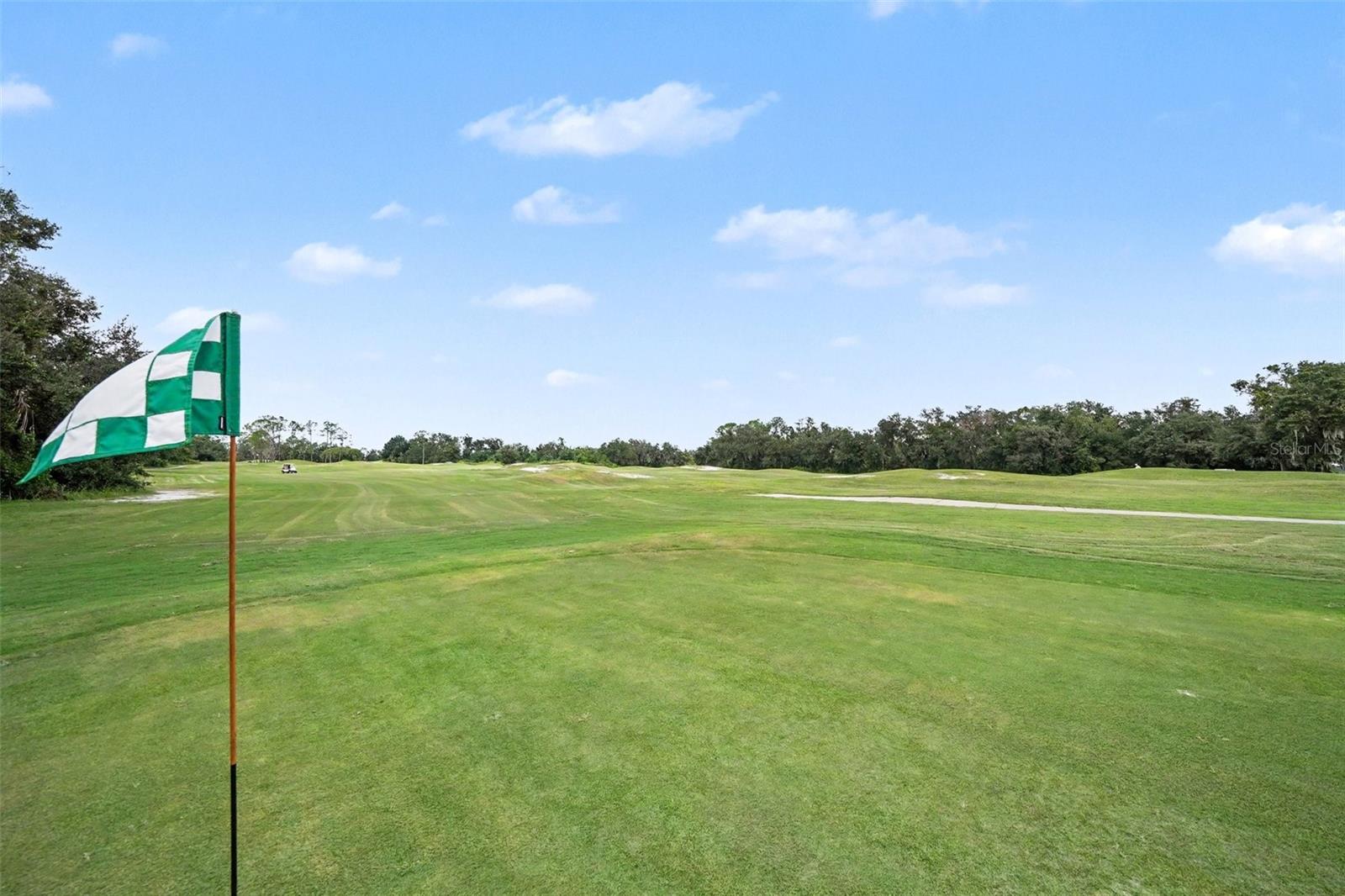 34825 DOUBLE EAGLE CT — photo 34
