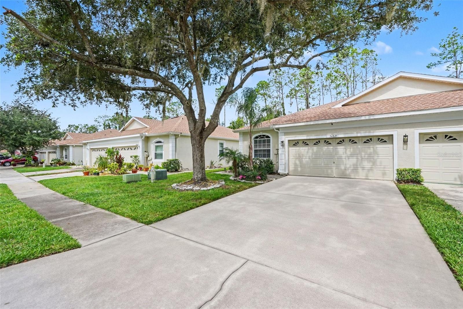 34825 DOUBLE EAGLE CT — photo 4