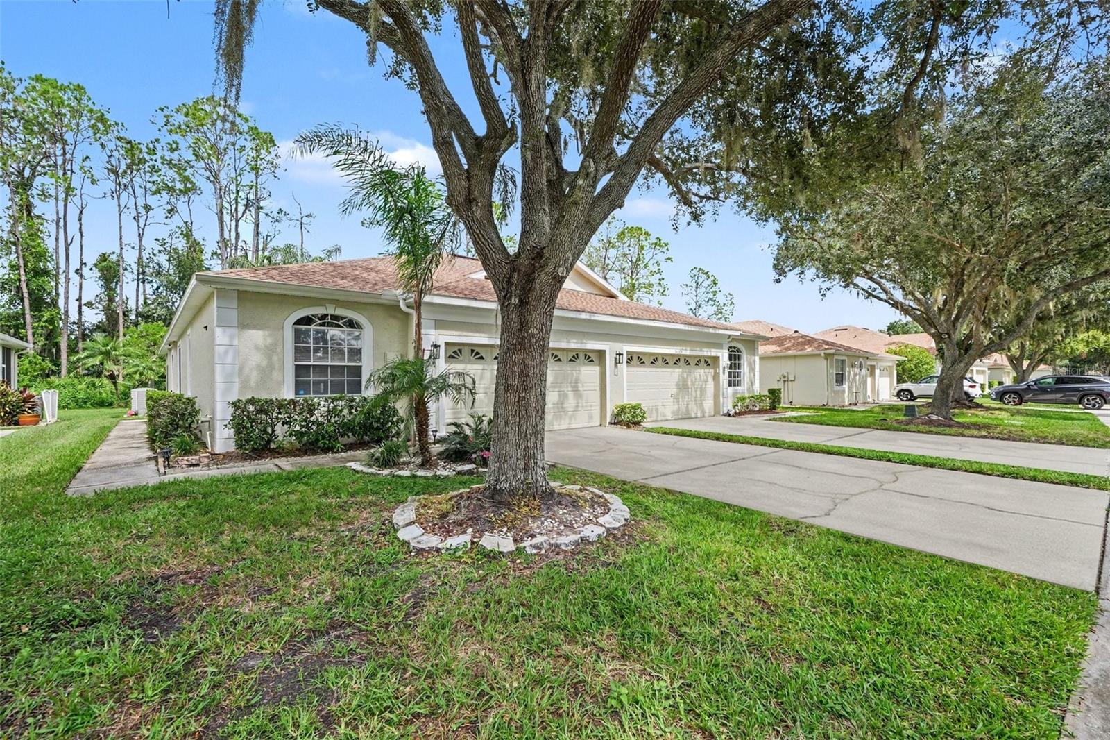 34825 DOUBLE EAGLE CT — photo 3