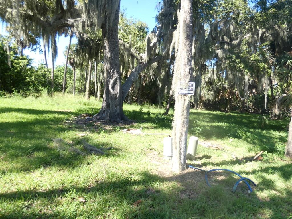 5405 TROPICAL WOODS CT — photo 15