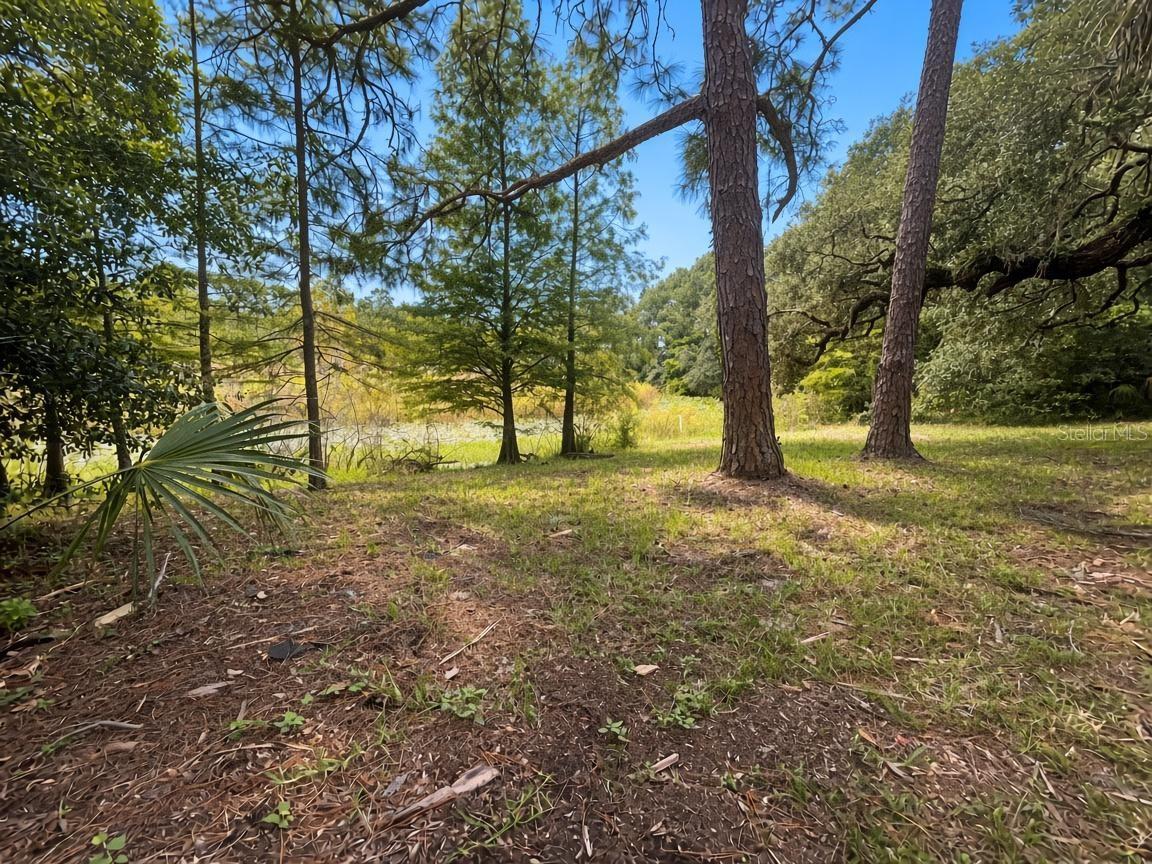 17932 WENDY SUE AVE — photo 90