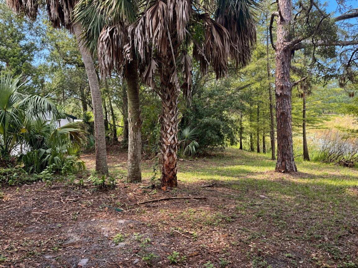 17932 WENDY SUE AVE — photo 91