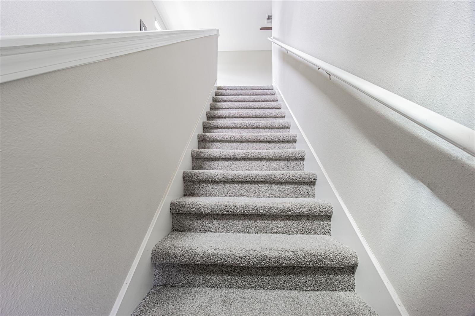 5102 DANDELION ST — photo 12