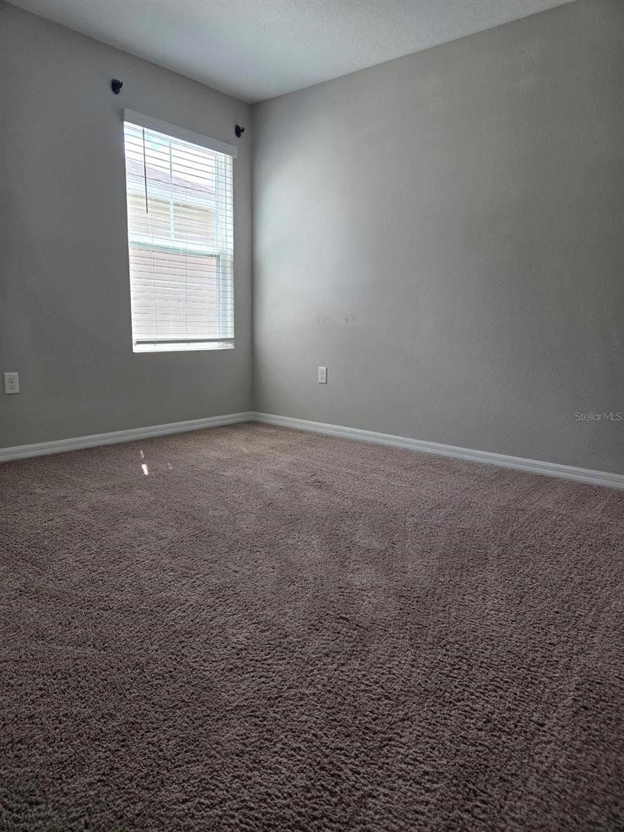 7563 FREESIA TRCE — photo 13