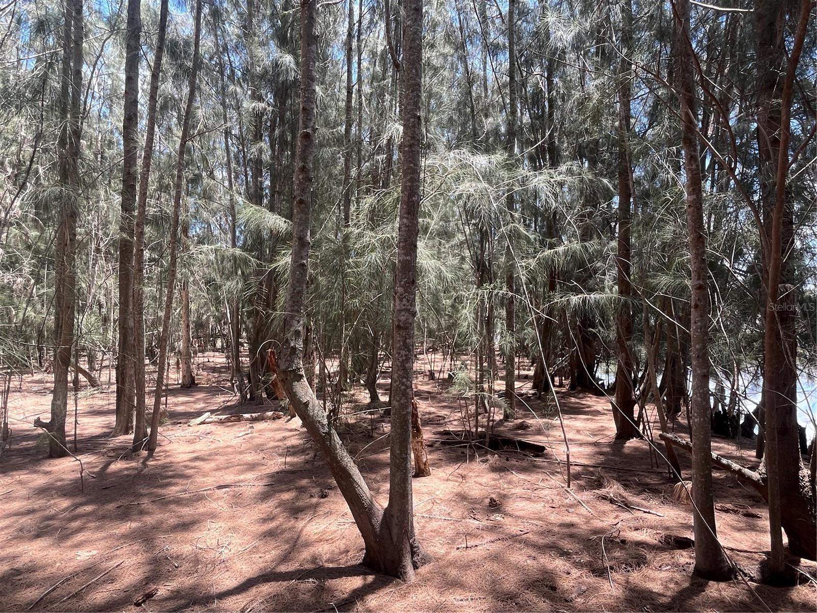 LEGION DR — photo 19