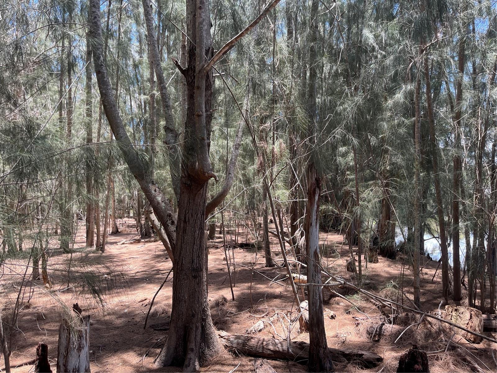 LEGION DR — photo 18