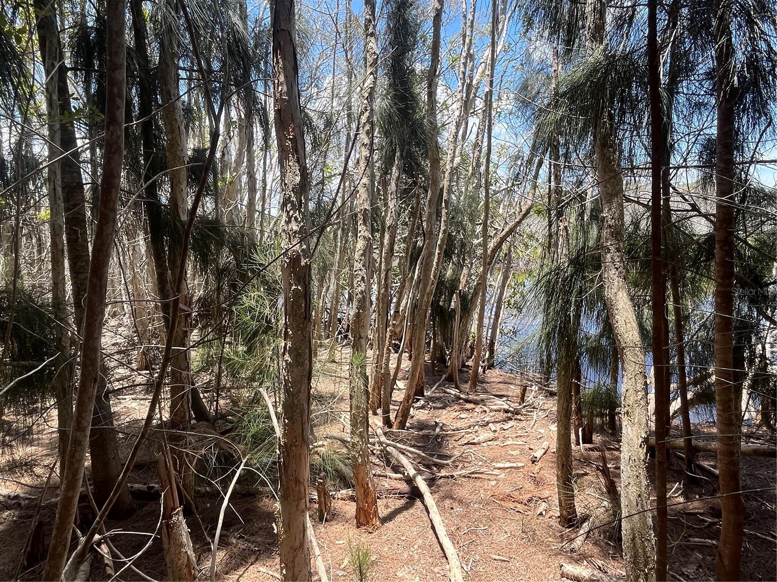 LEGION DR — photo 23