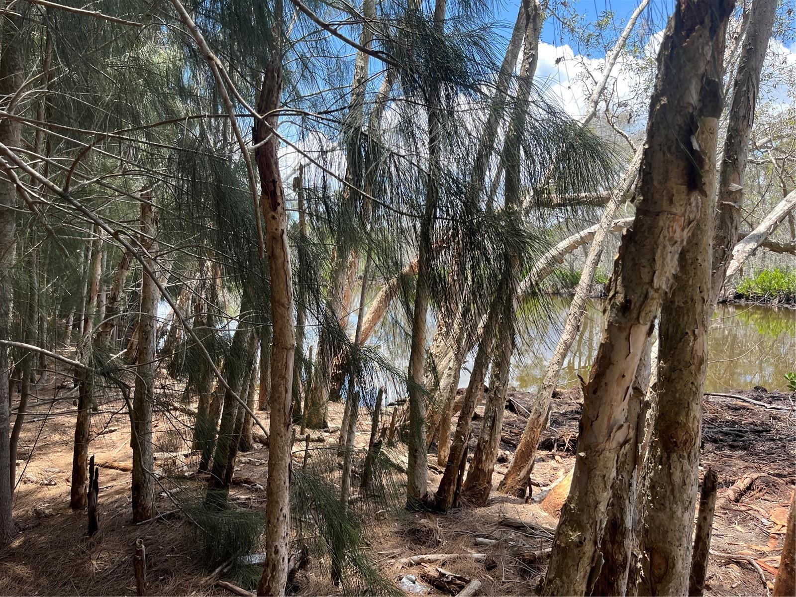 LEGION DR — photo 16
