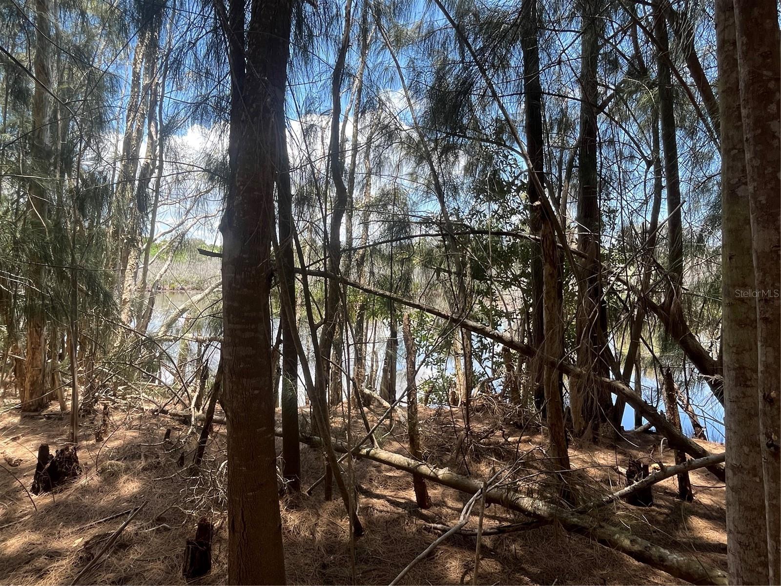 LEGION DR — photo 26