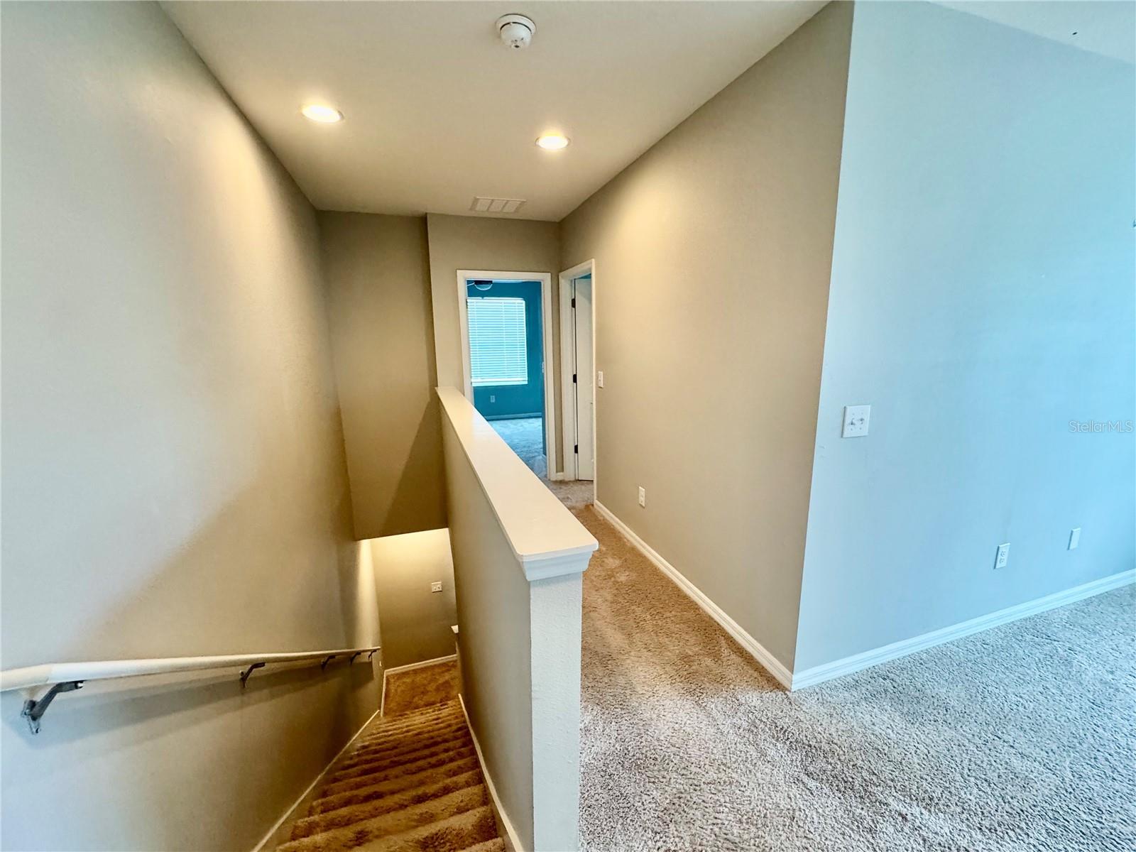 8696 ICE WINE ST — photo 22