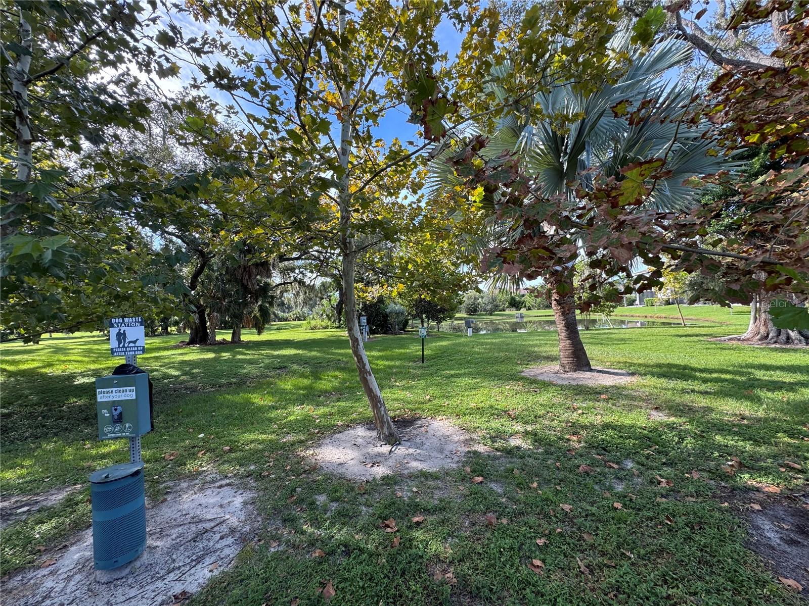 8696 ICE WINE ST — photo 46