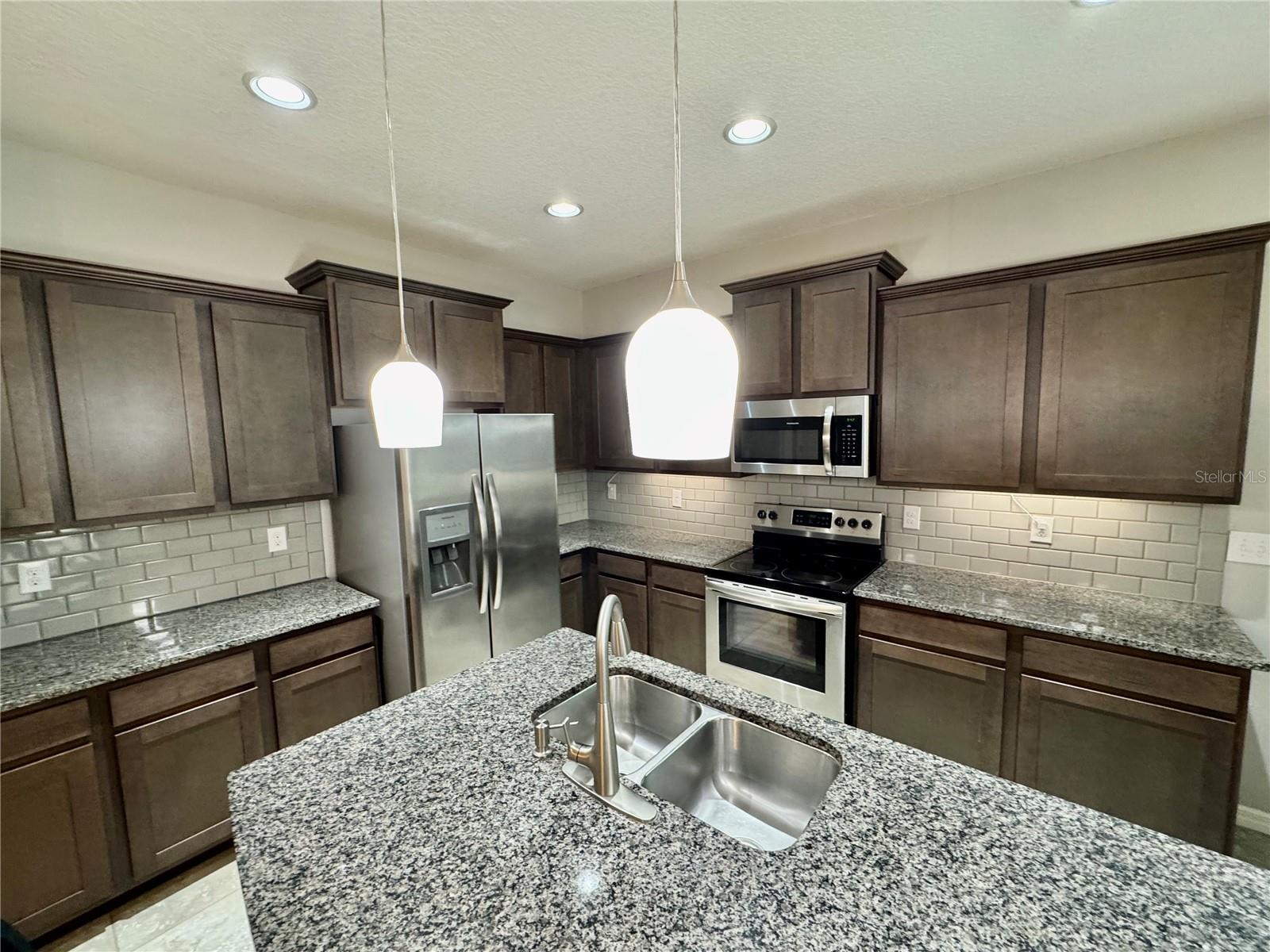 8696 ICE WINE ST — photo 15