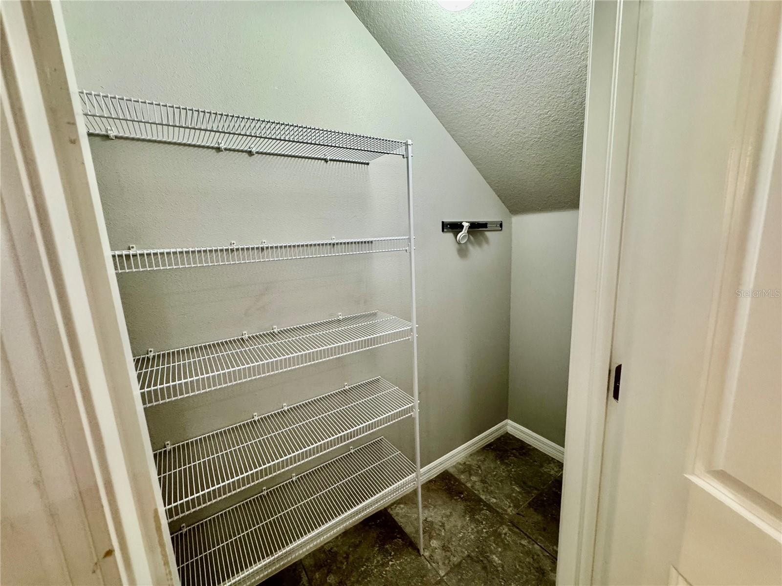 8696 ICE WINE ST — photo 17