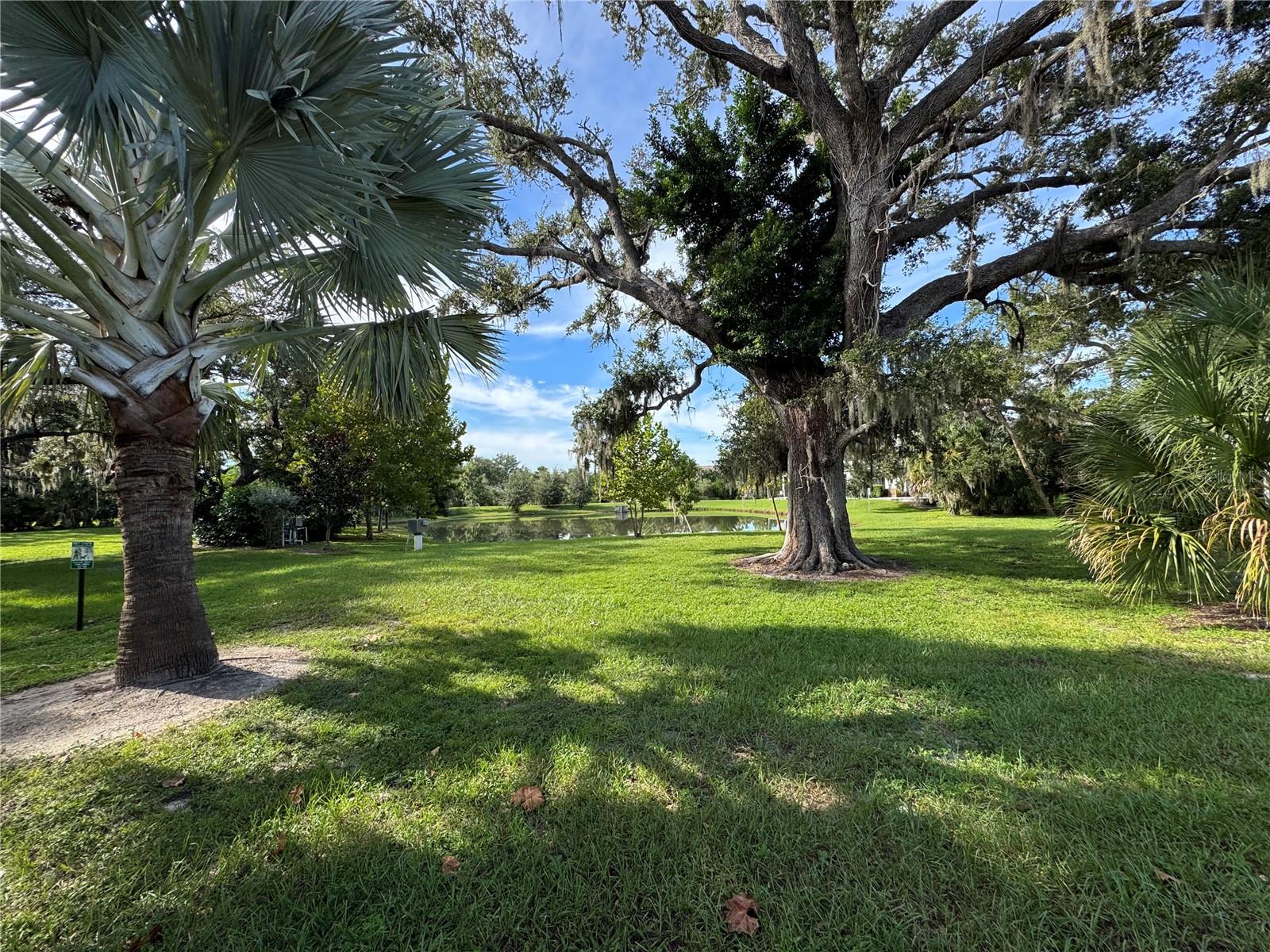 8696 ICE WINE ST — photo 47