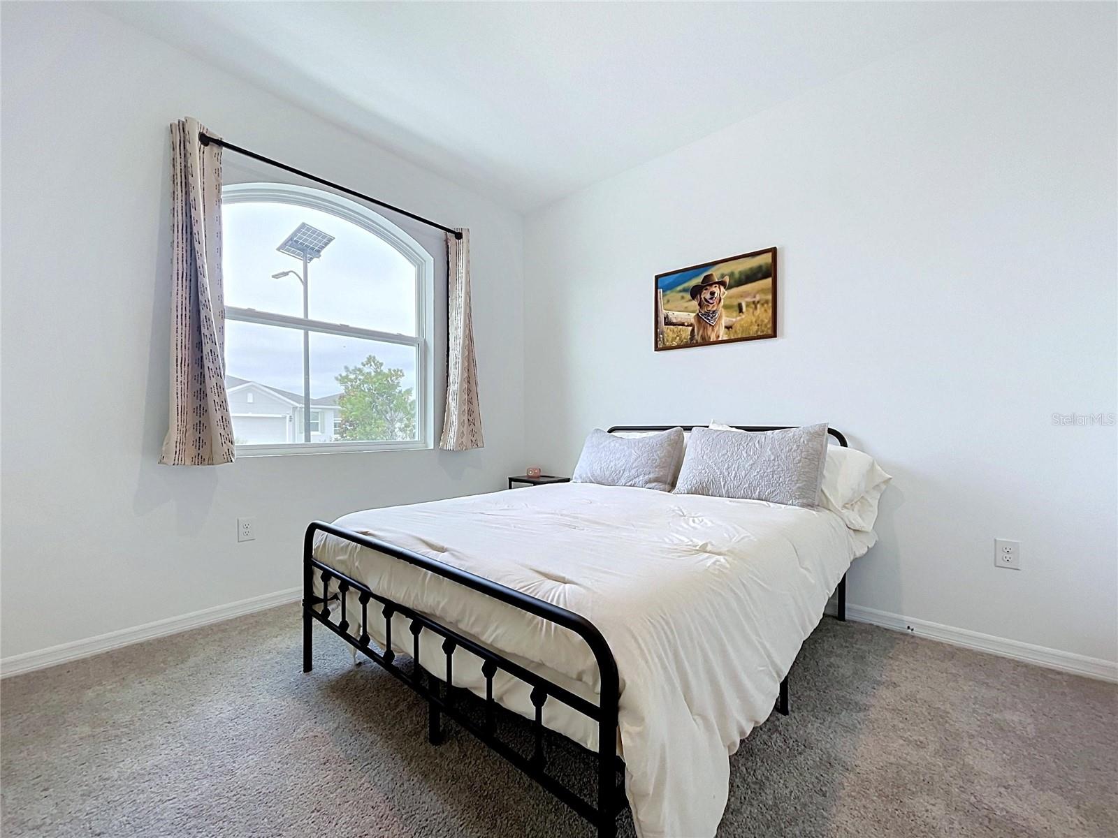 32852 RUSTIC RISE RD — photo 48