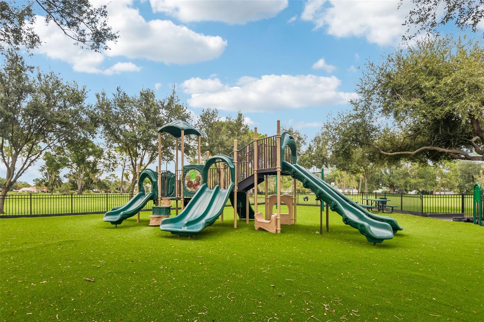 3503 OAK CLUB CT — photo 55