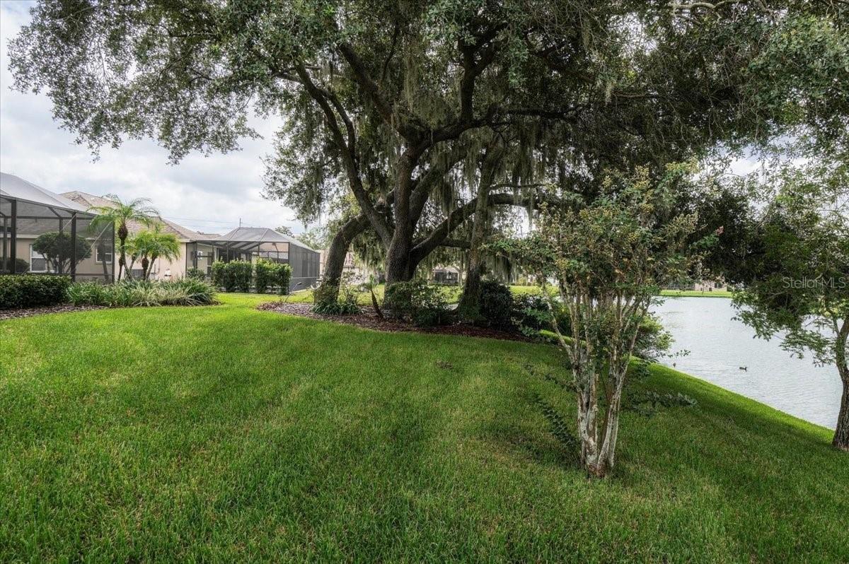 2929 FOREST HAMMOCK DR — photo 44