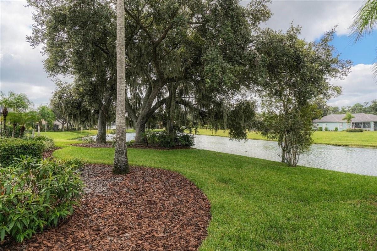 2929 FOREST HAMMOCK DR — photo 43