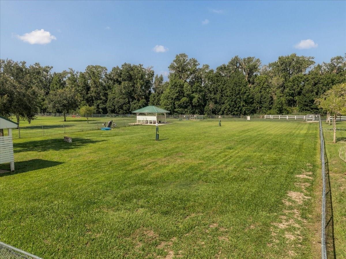 2929 FOREST HAMMOCK DR — photo 69