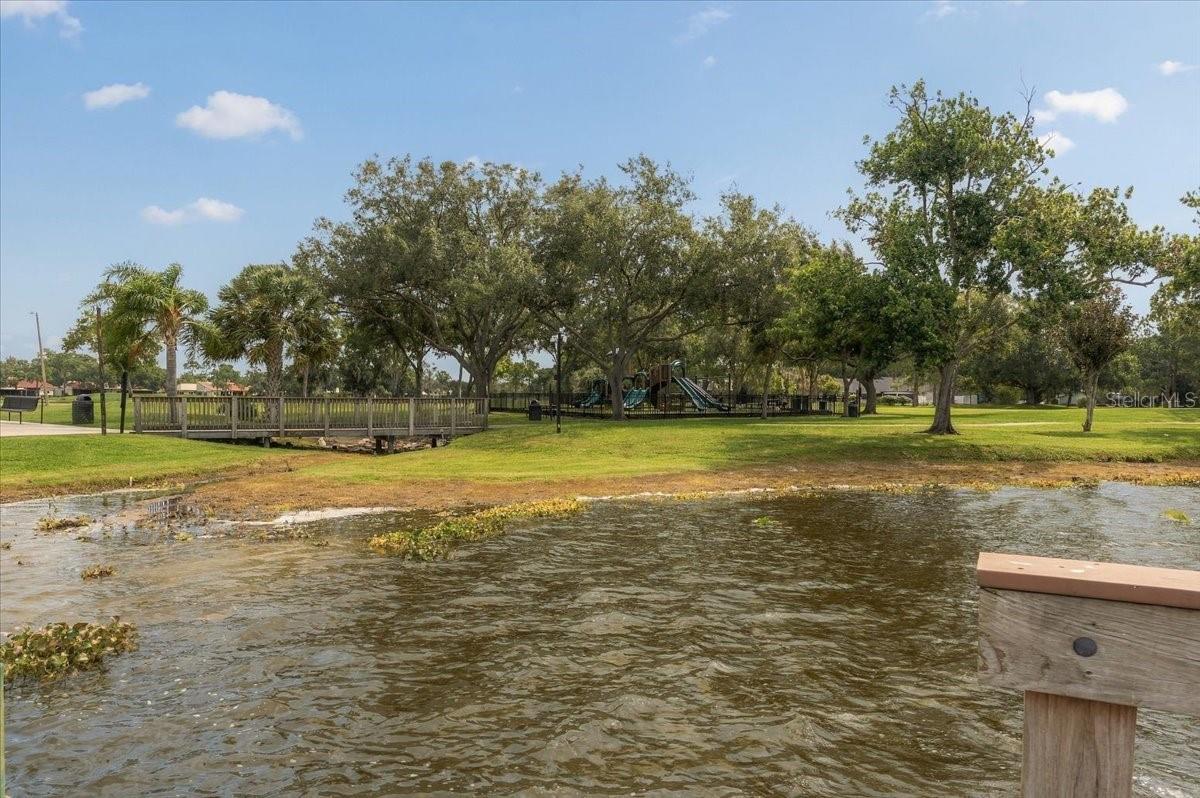 2929 FOREST HAMMOCK DR — photo 64