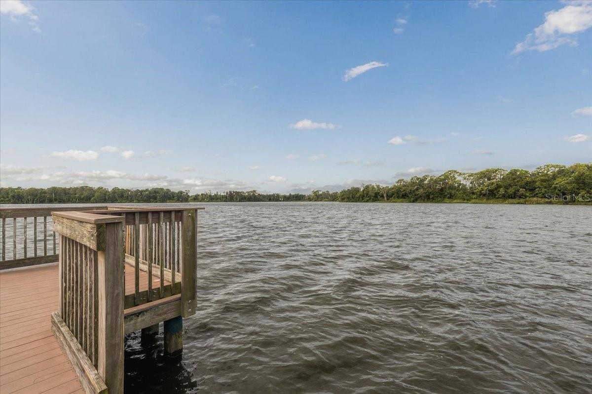 2929 FOREST HAMMOCK DR — photo 63