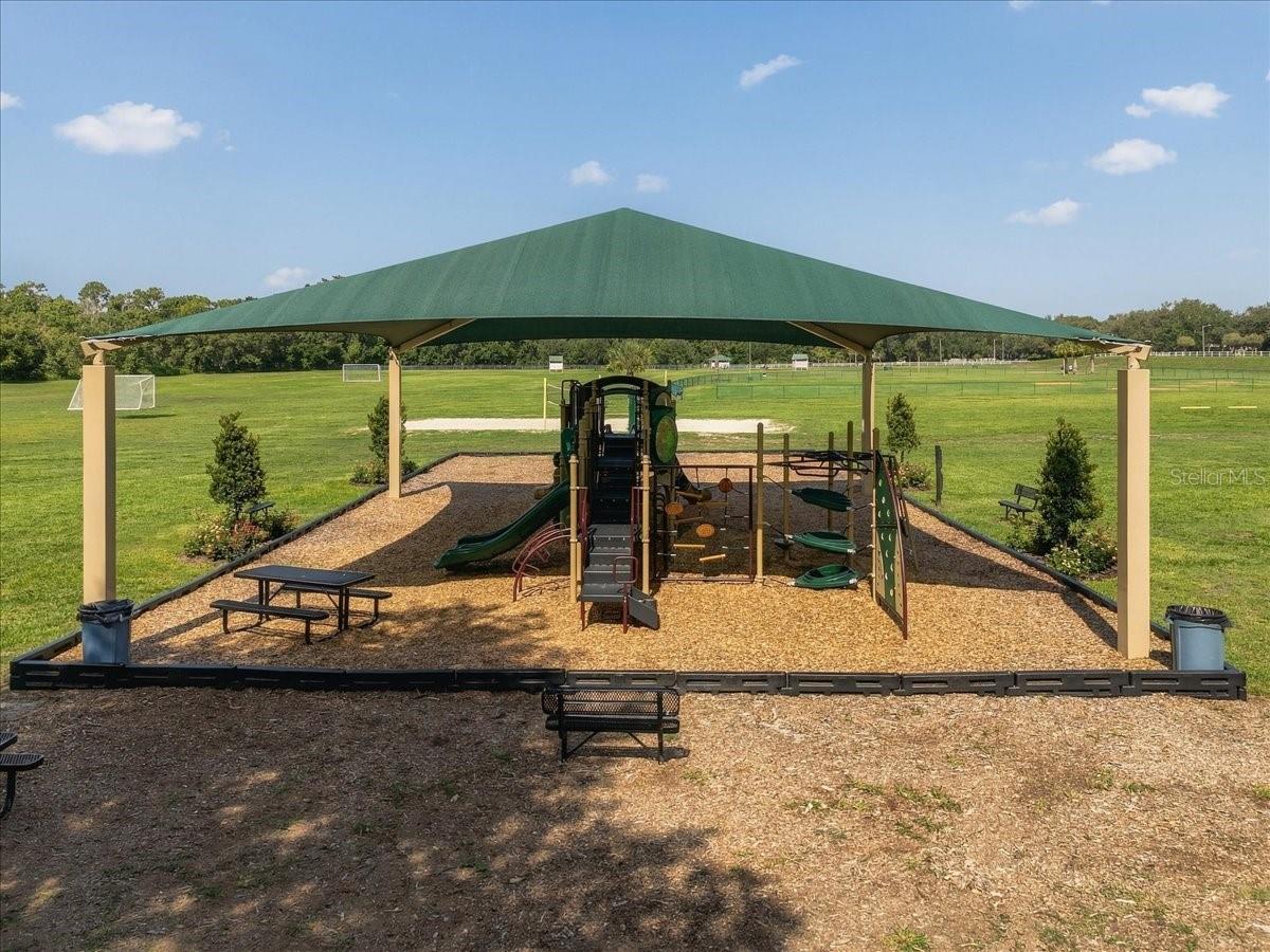 2929 FOREST HAMMOCK DR — photo 71