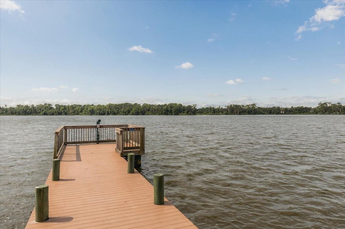2929 FOREST HAMMOCK DR — photo 62
