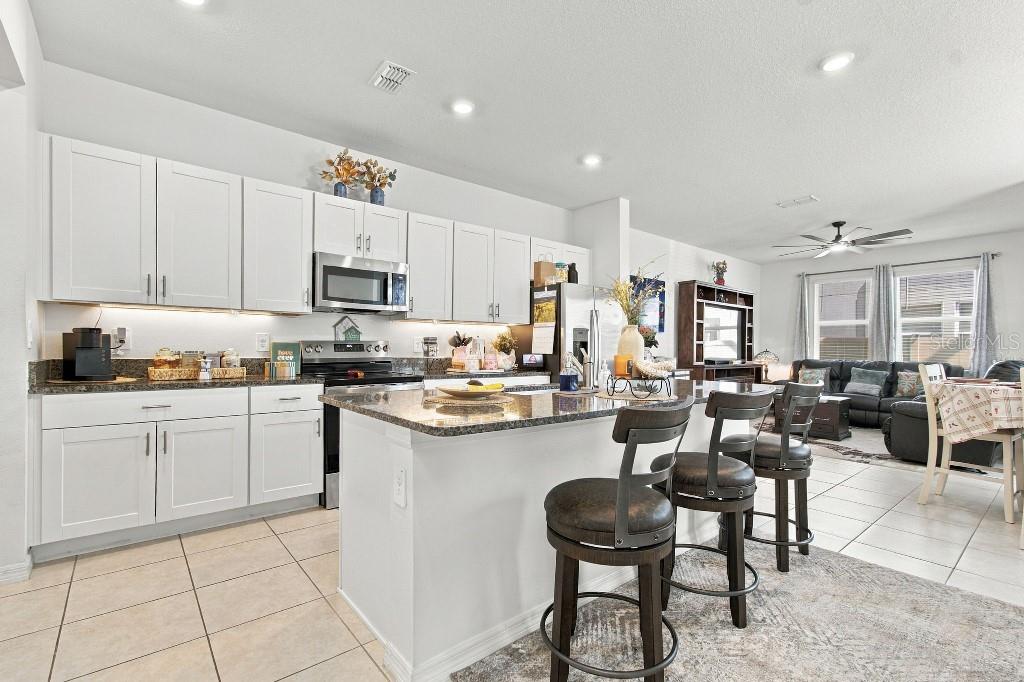 10824 FANNING SPRINGS CT — photo 10
